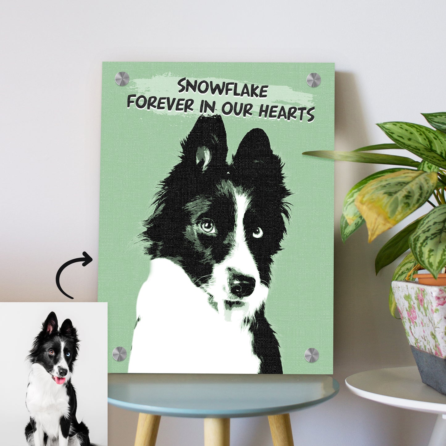 Custom Pop Pet Art Portrait Canvas Prints for Pet Memorial Gift