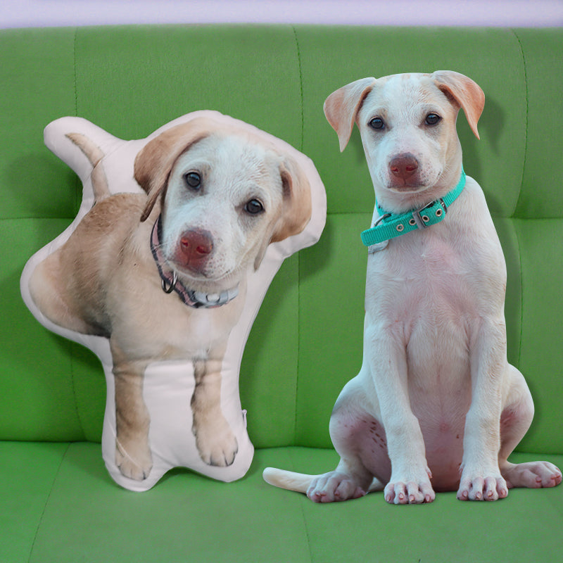 Custom Shaped Pet Pillow Made from Photo Look Like Your Beloved Pet - OARSE