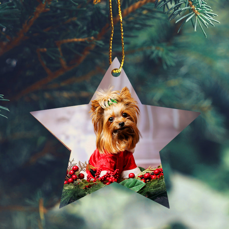 Personalized Christmas Tree Ornaments with Pet Photo - OARSE