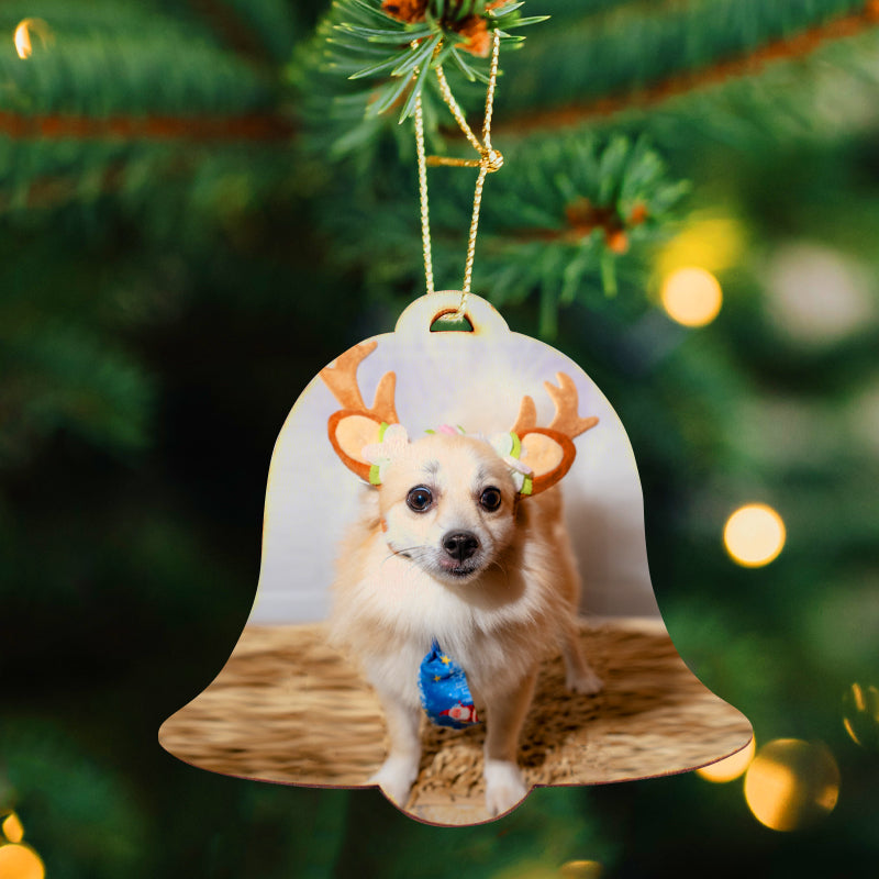 Personalized Christmas Tree Ornaments with Pet Photo - OARSE