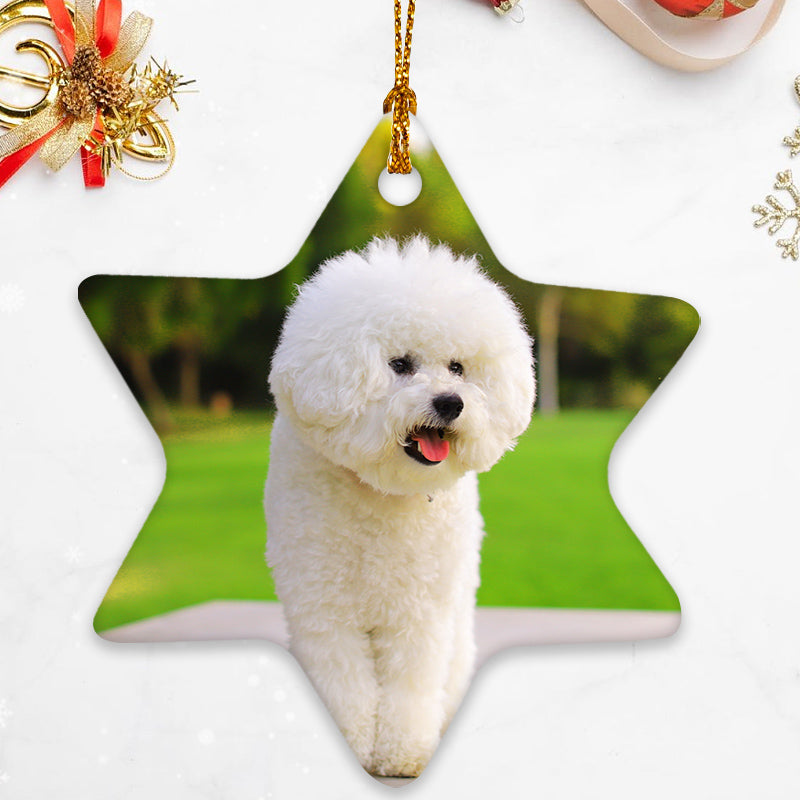 Custom Christmas Ornaments with Photo Personalized Tree Decaration - OARSE