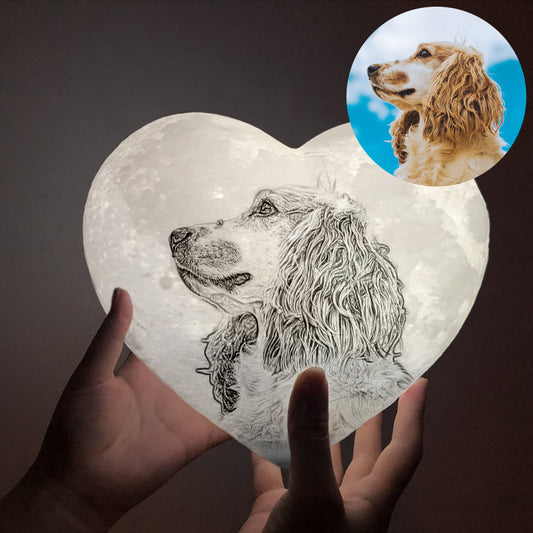 Customized Pet Photo Heart Shaped Moon Lamp - Oarse