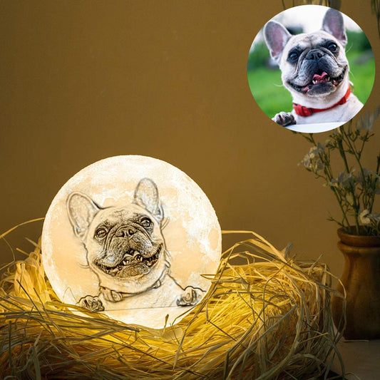 Custom Pet Photo 3D Moon Lamp 16 Colors - Oarse